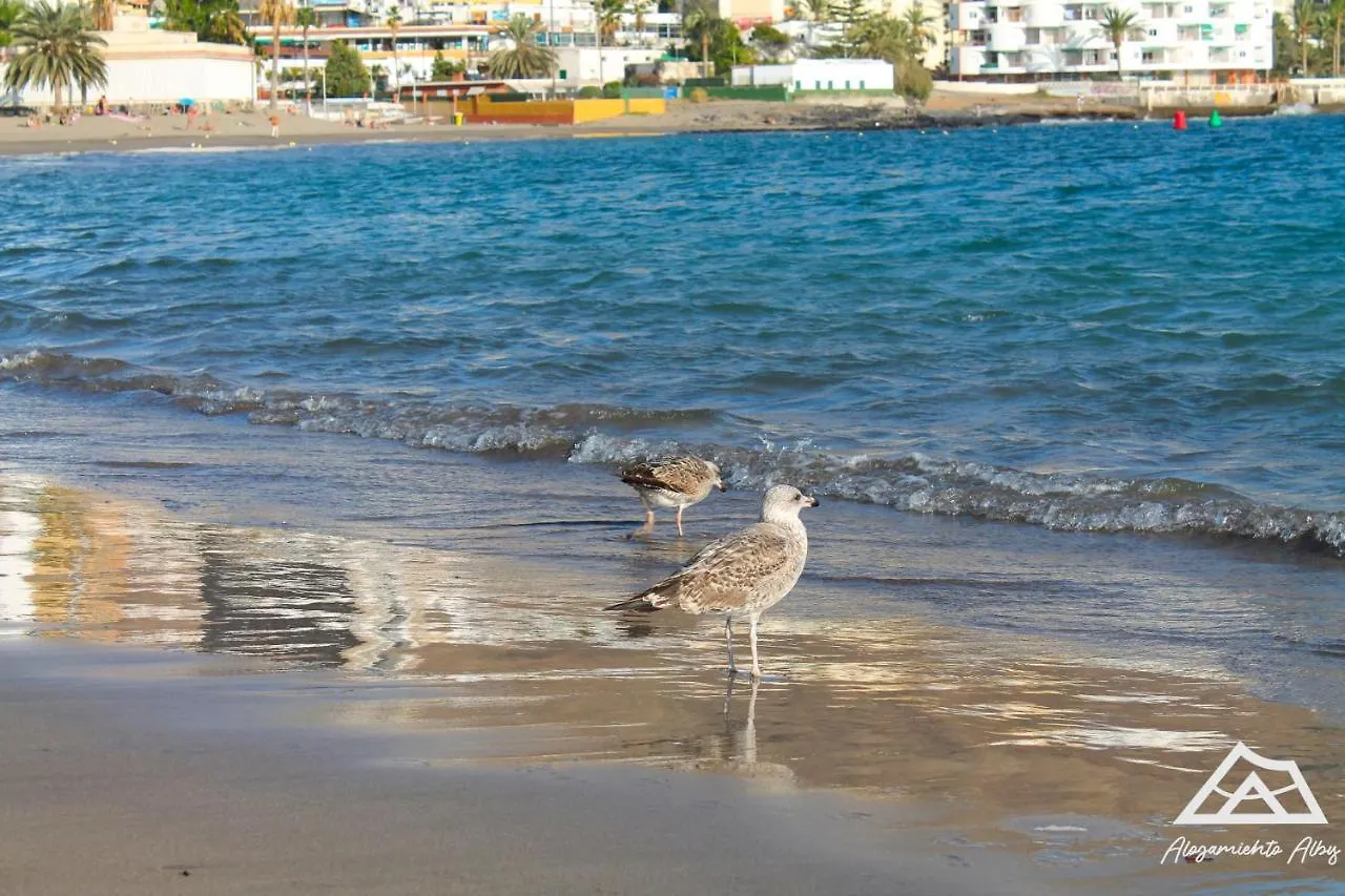 Lägenhet Alojamiento Alby: Oceano Los Cristianos  Spanien